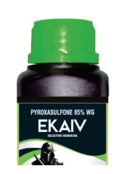 Ekaiv pack