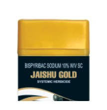 Jaishu Gold pack