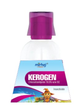 Kerogen pack