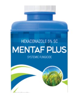 Mentaf Plus pack