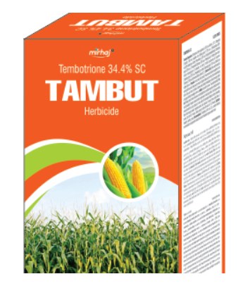 Tambut pack